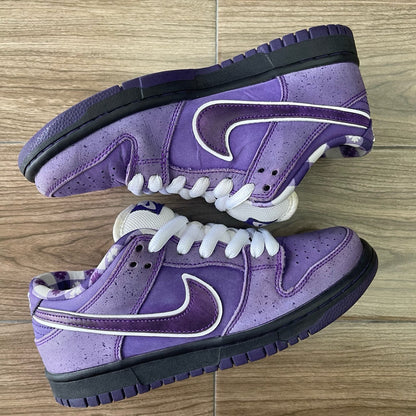 Nike SB Dunk Low Concepts Purple Lobster Size 5